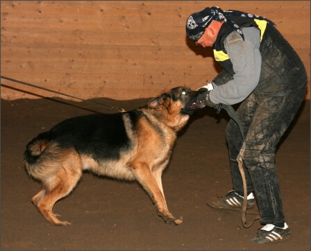 Training in Estonia 11/2007